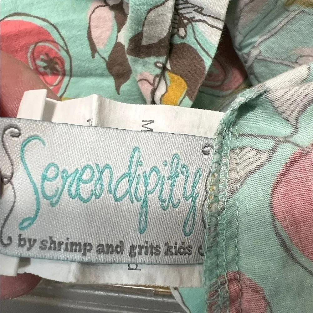 Serendipity mint green & pink multi pattern peasant dress Apple print XL (9-10)